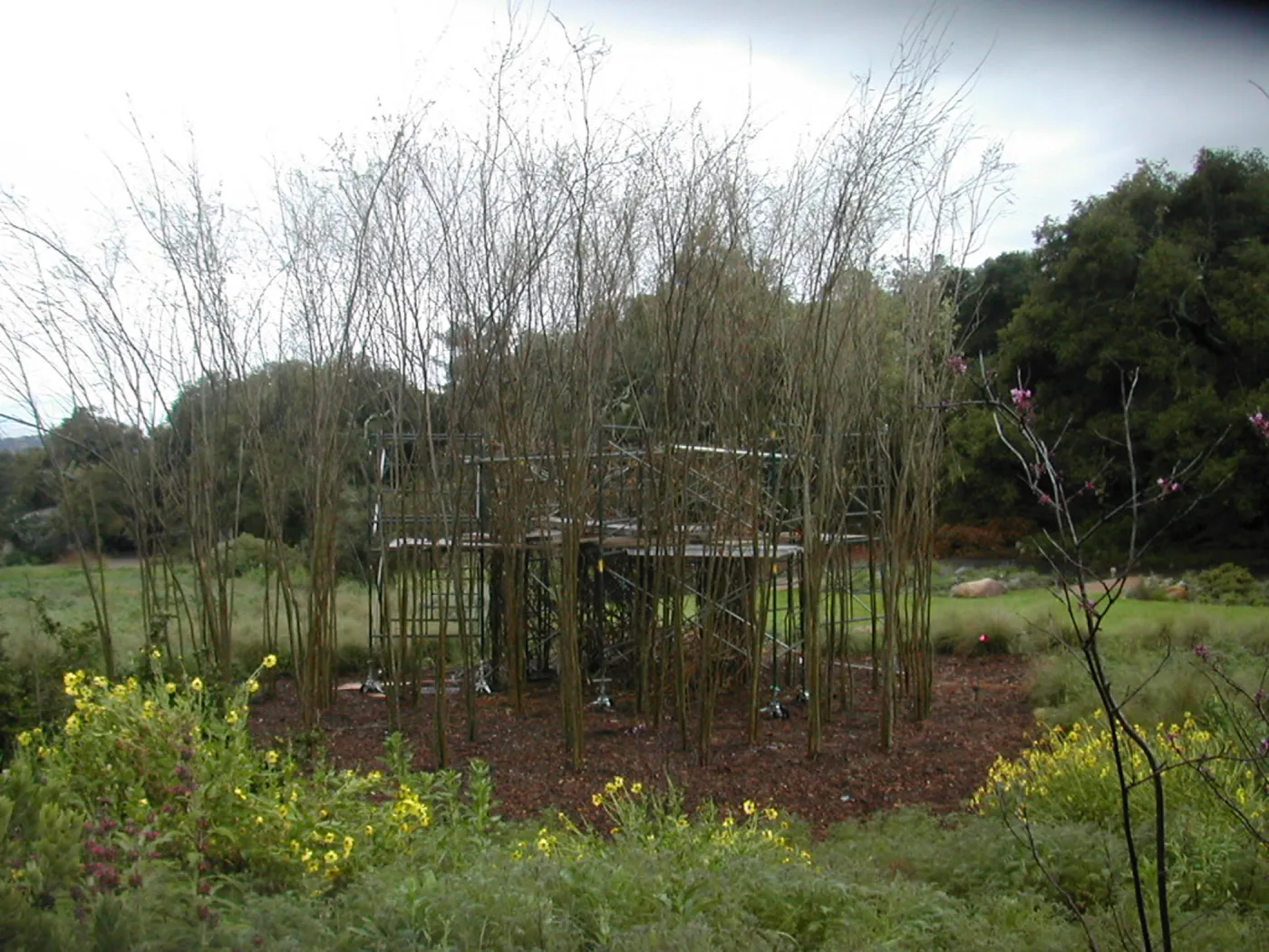 Construction of Toad Hall by Patrick Dougherty