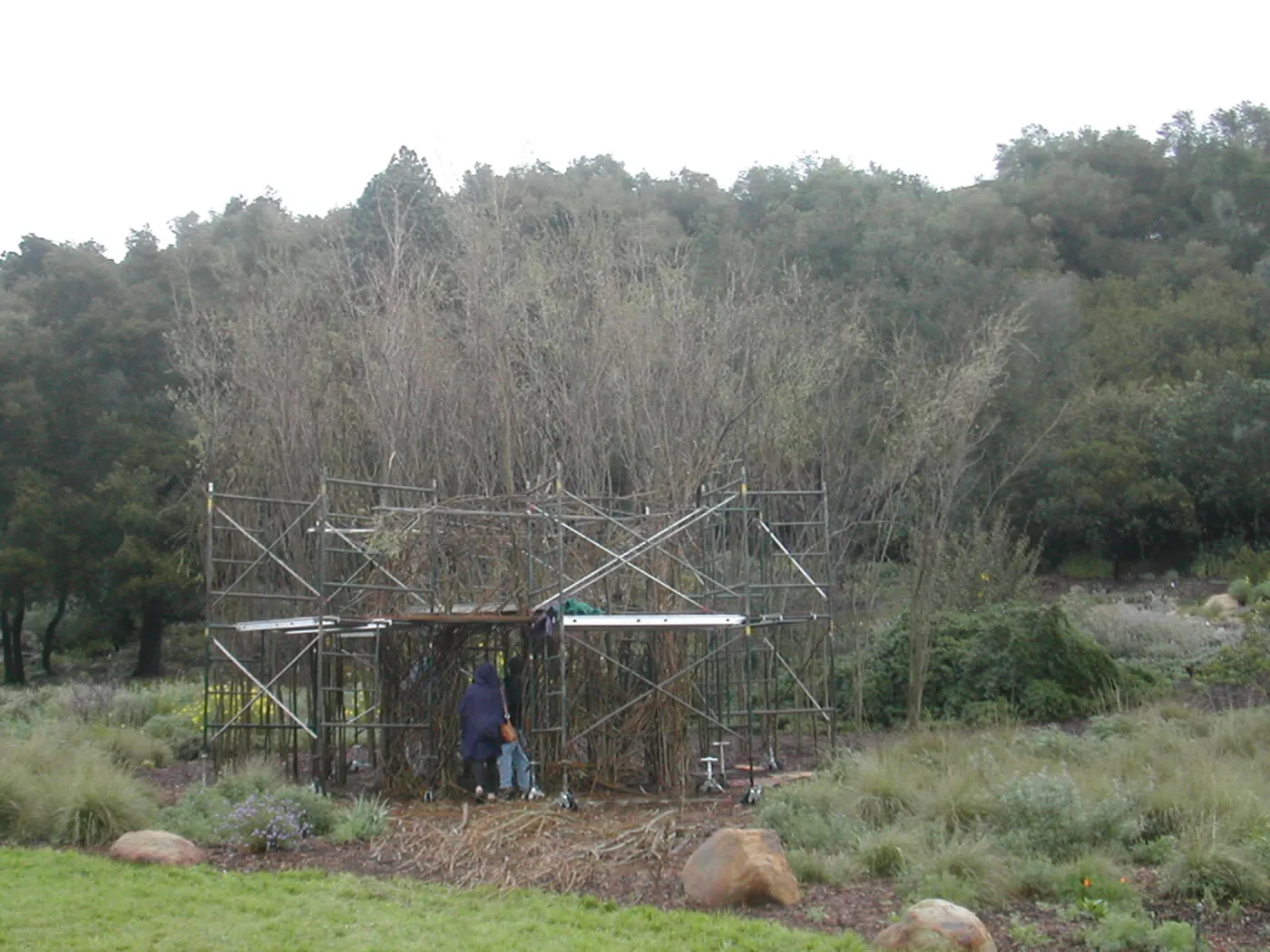 Construction of Toad Hall by Patrick Dougherty