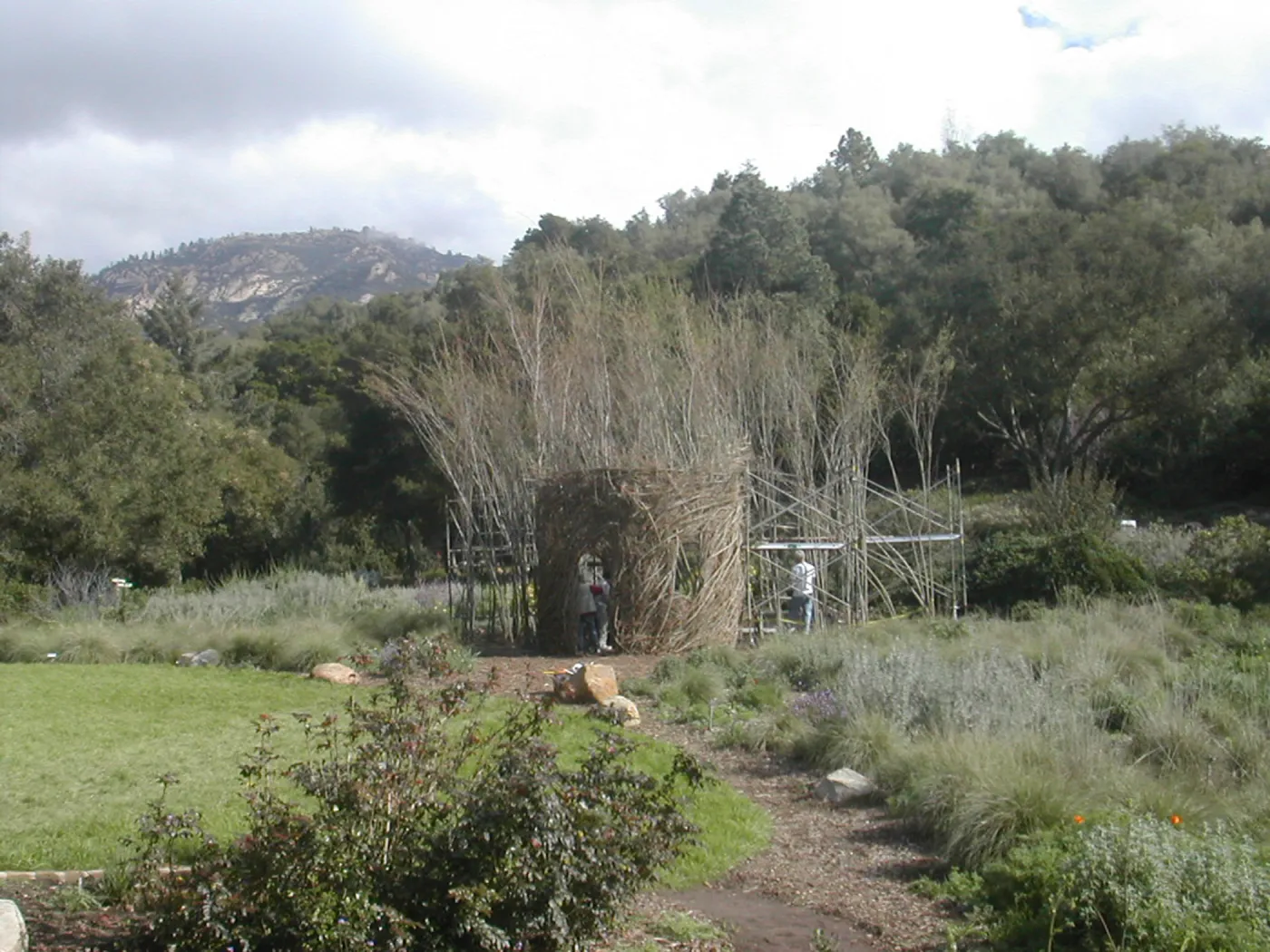 Construction of Toad Hall by Patrick Dougherty