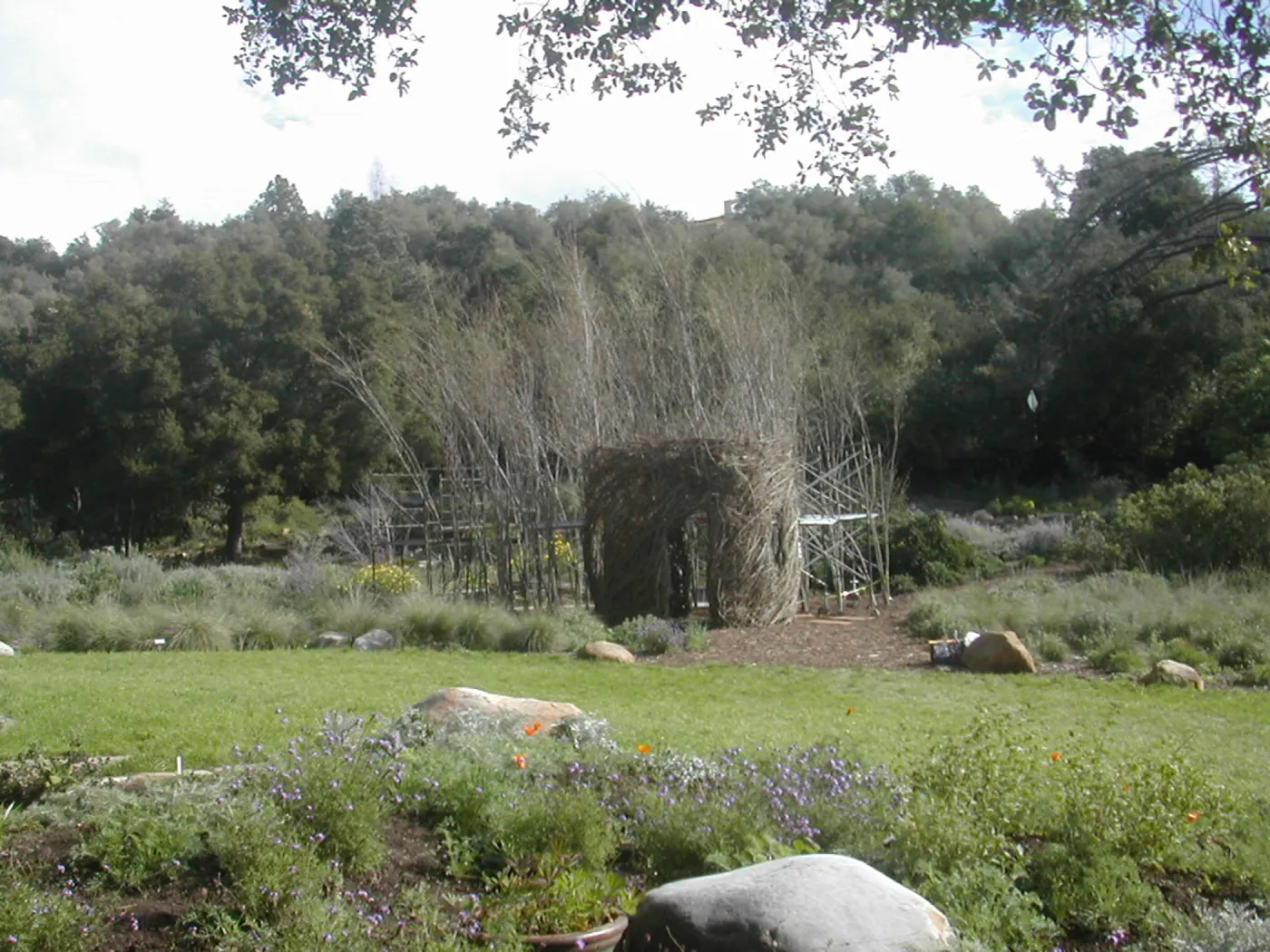 Construction of Toad Hall by Patrick Dougherty