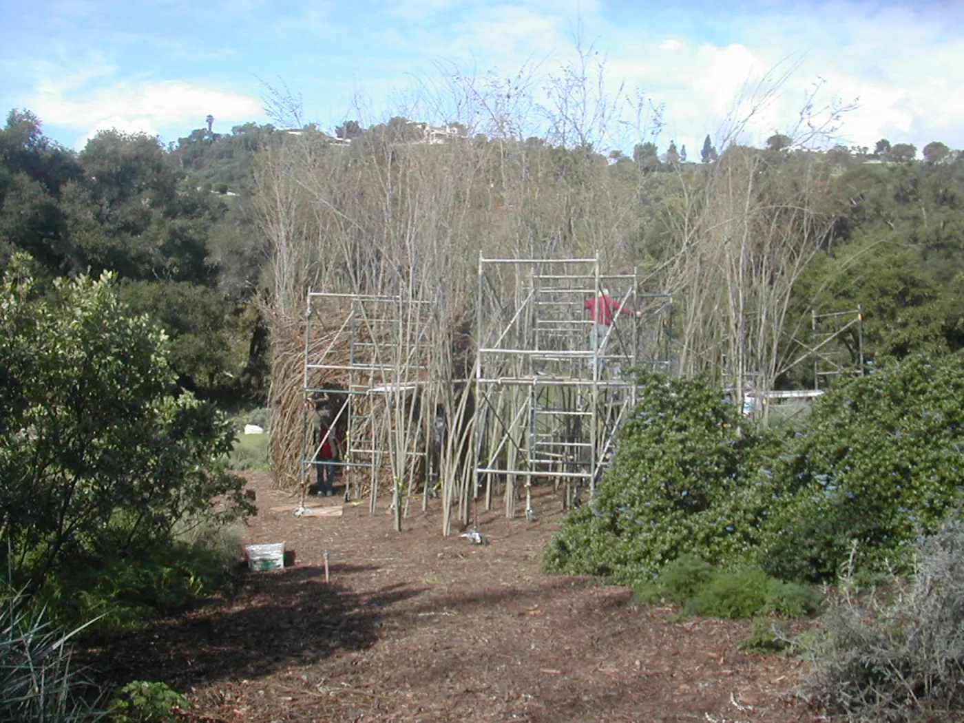 Construction of Toad Hall by Patrick Dougherty