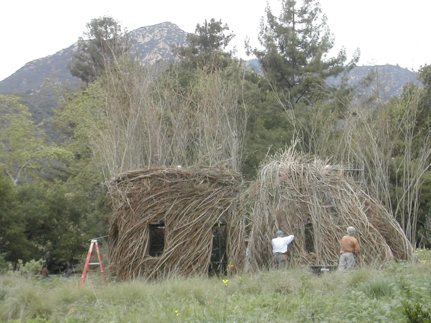 Construction of Toad Hall by Patrick Dougherty