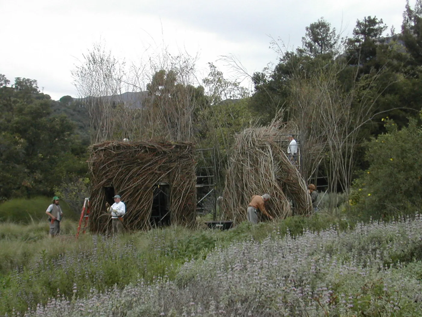 Construction of Toad Hall by Patrick Dougherty