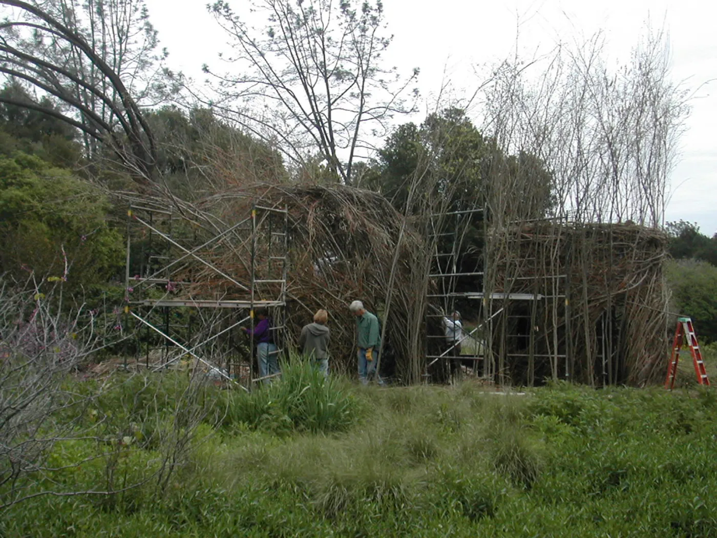 Construction of Toad Hall by Patrick Dougherty