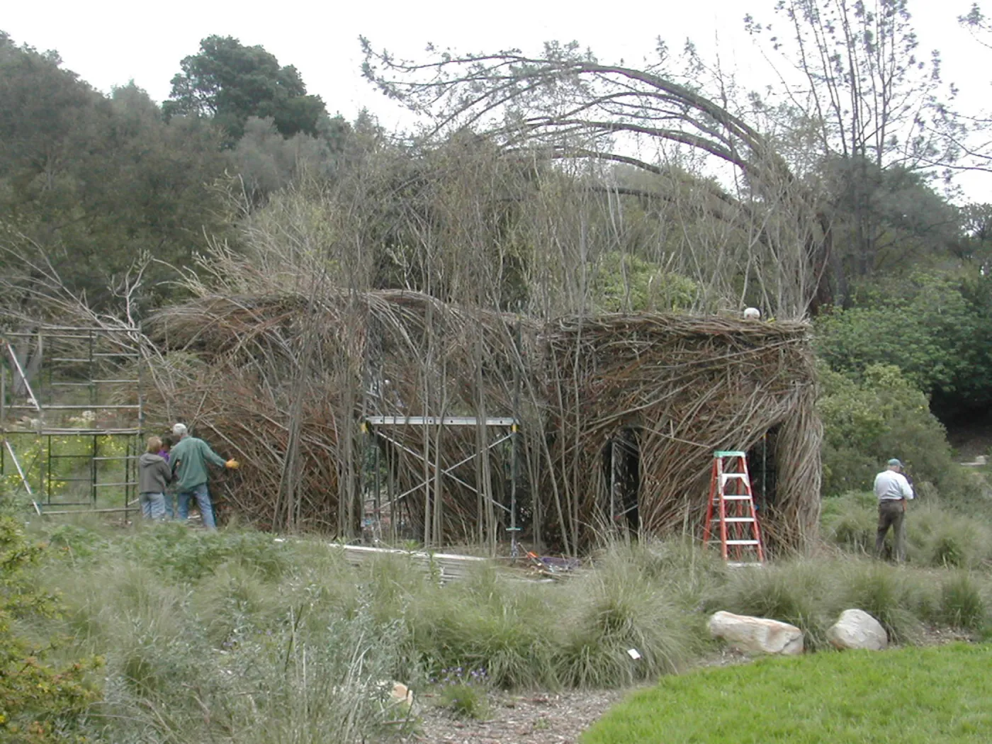 Construction of Toad Hall by Patrick Dougherty