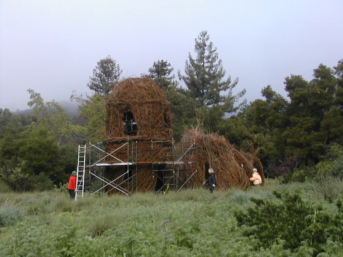 Construction of Toad Hall by Patrick Dougherty