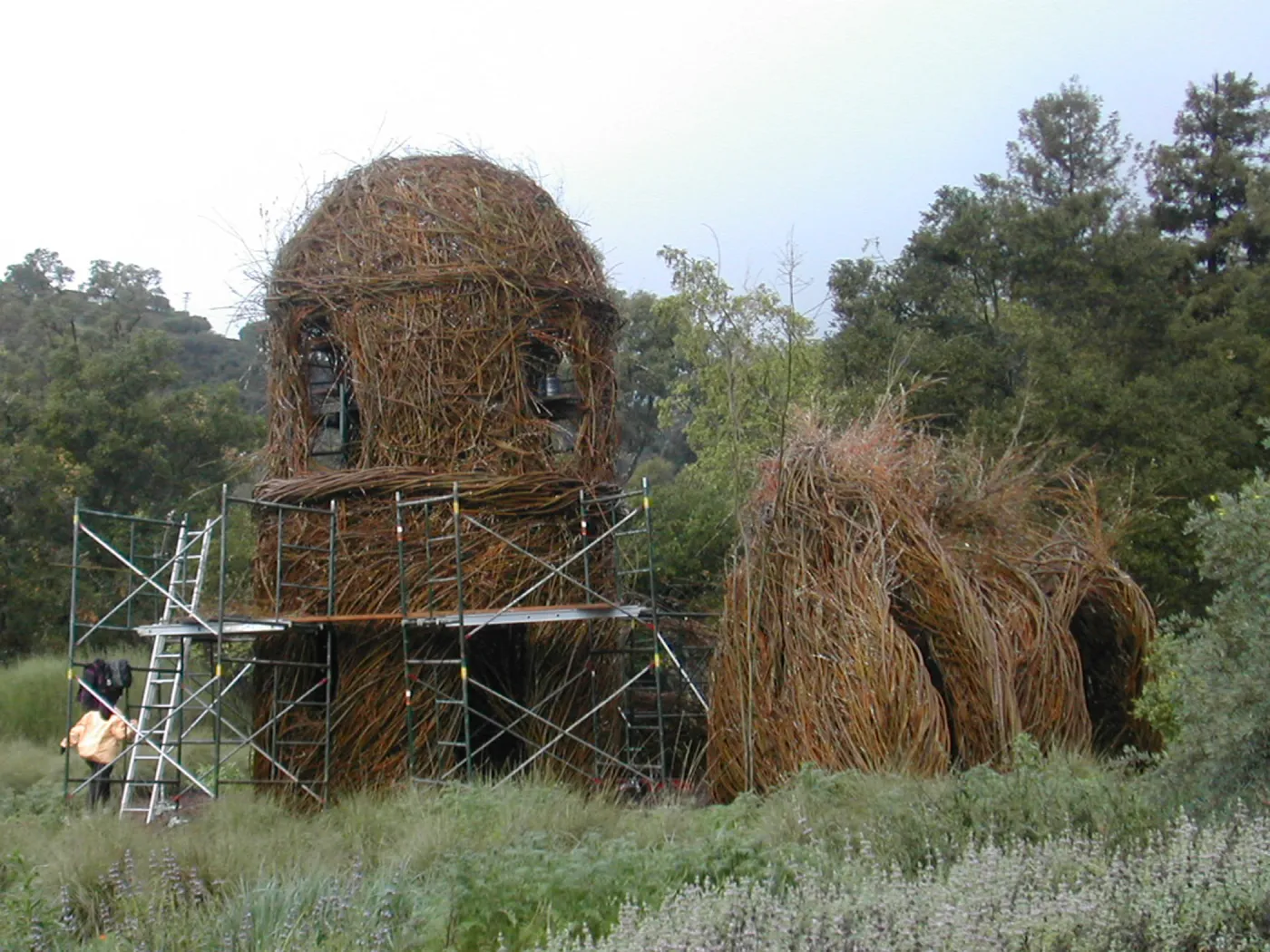 Construction of Toad Hall by Patrick Dougherty