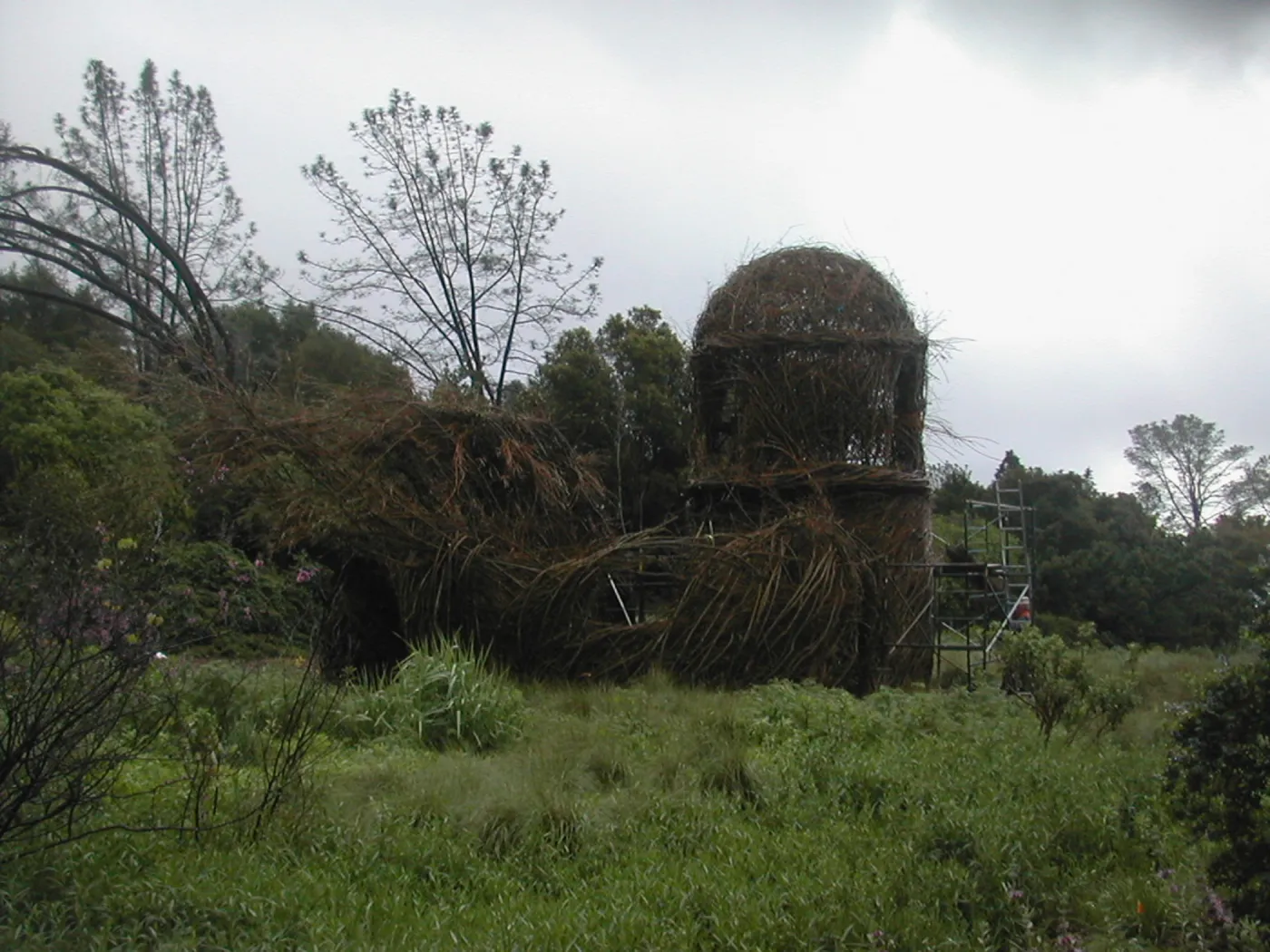 Construction of Toad Hall by Patrick Dougherty