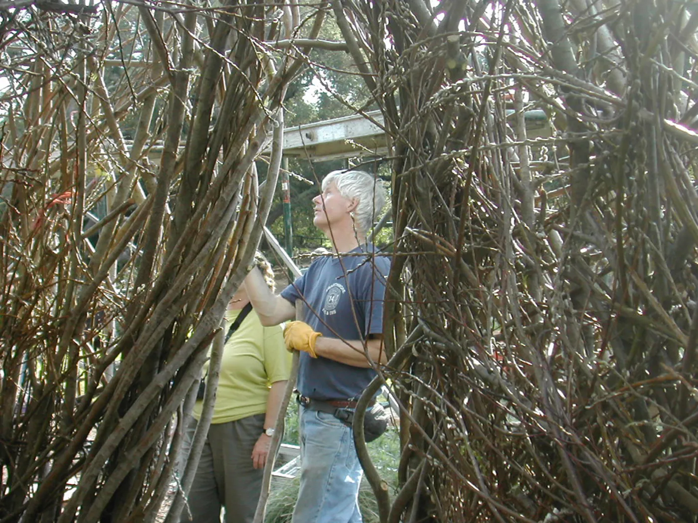 Construction of Toad Hall by Patrick Dougherty