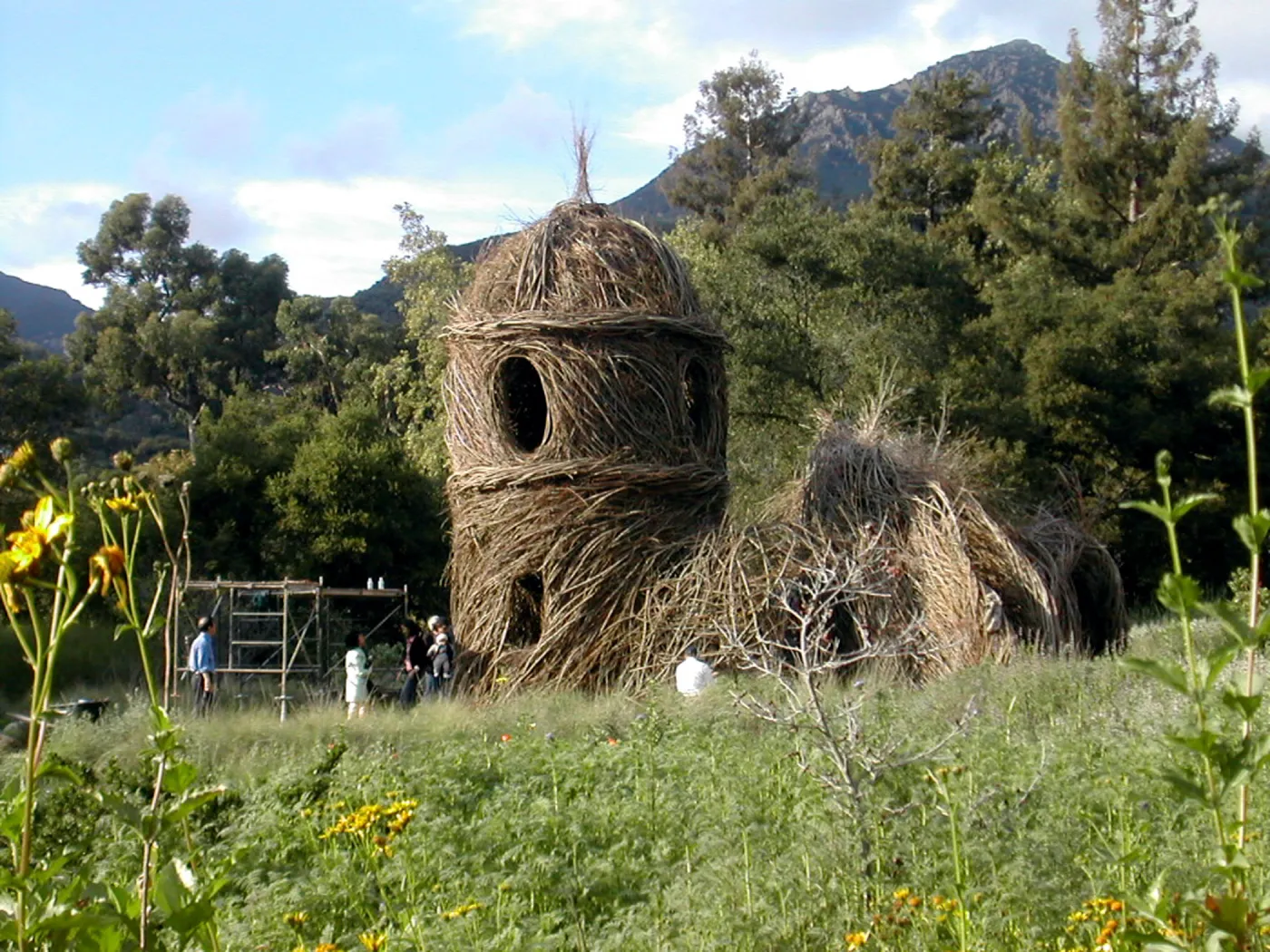 Construction of Toad Hall by Patrick Dougherty