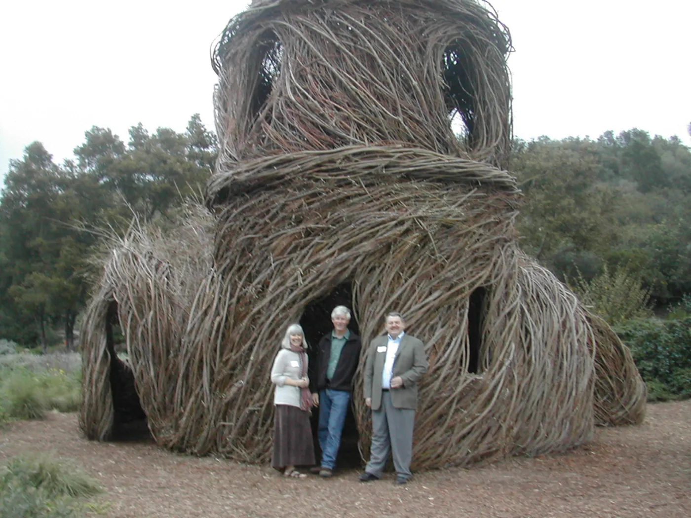 Construction of Toad Hall by Patrick Dougherty