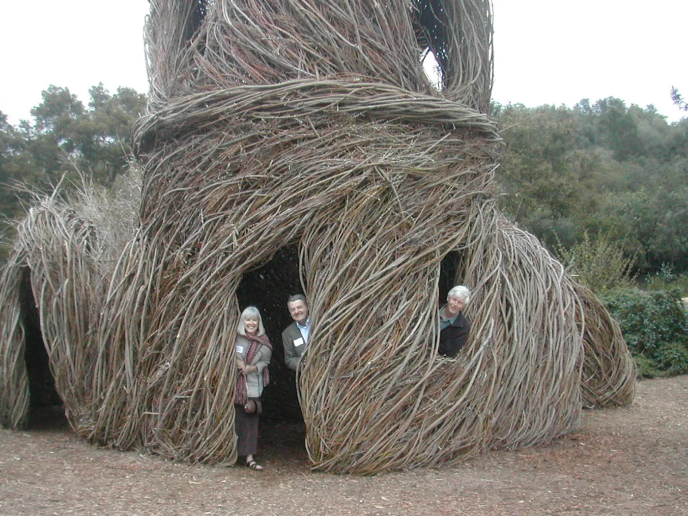 Construction of Toad Hall by Patrick Dougherty