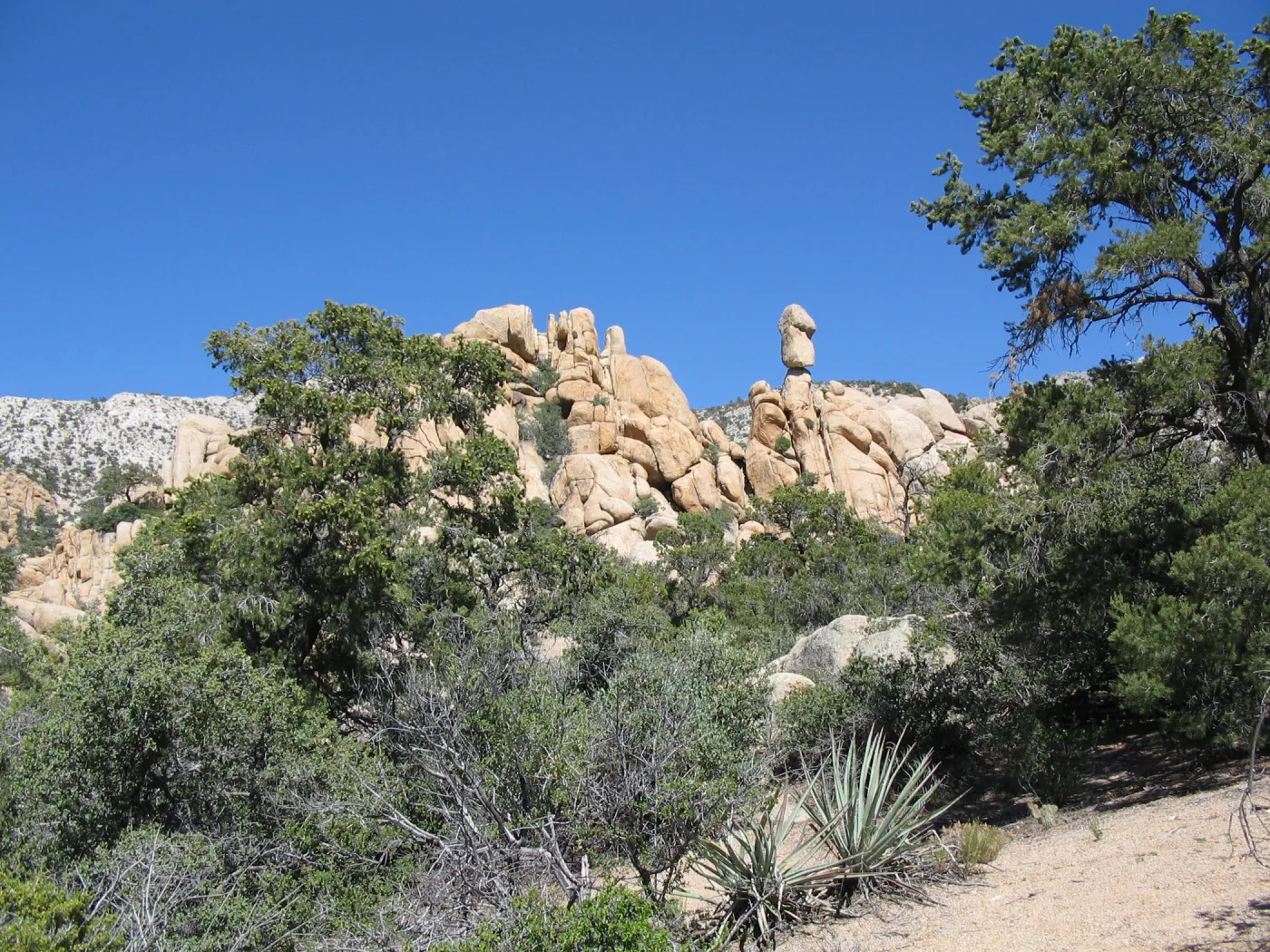 Caruthers Canyon, New York Mtns 