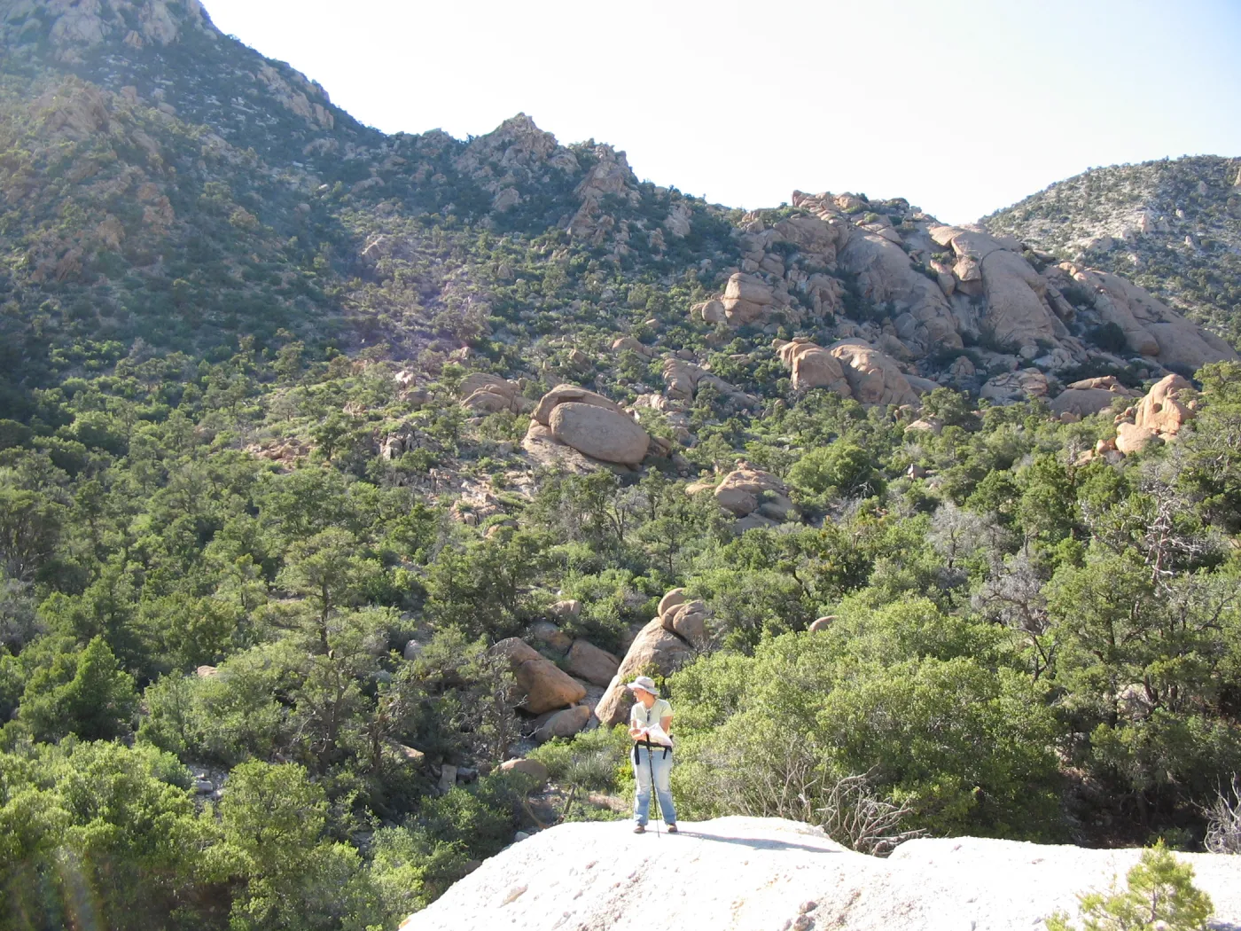 Betsy Collins at Caruthers Canyon
