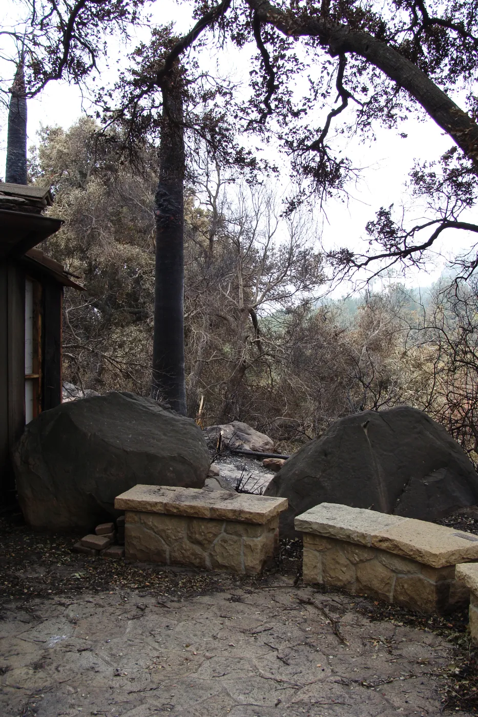 stone benches and patio behind the Information Kiosk, Santa Barbara Botanic Garden, after the Jesusita Fire