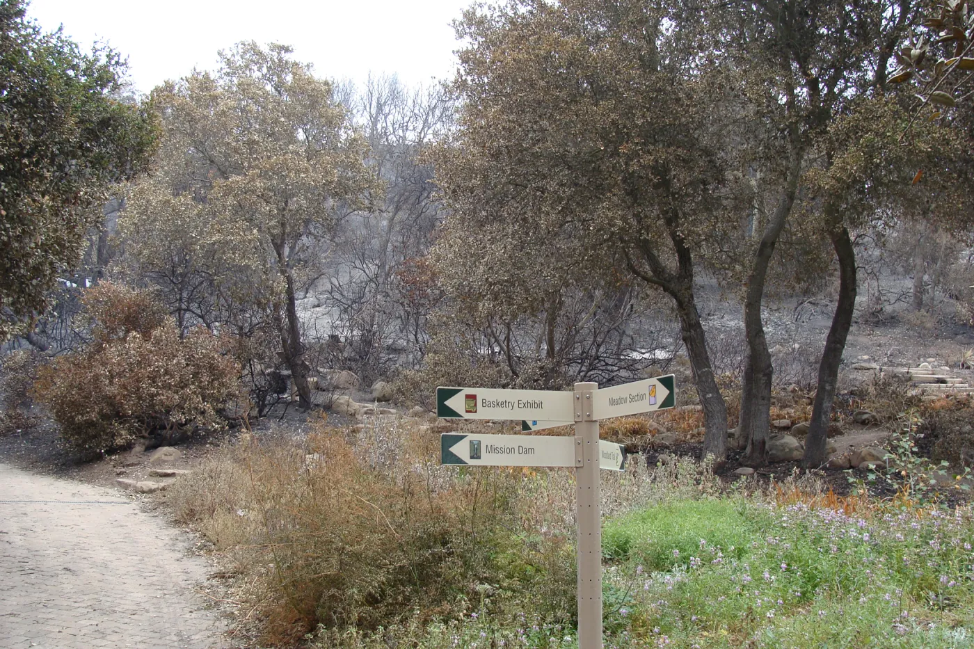 Woodland Trail, directional sign, Santa Barbara Botanic Garden, after the Jesusita Fire