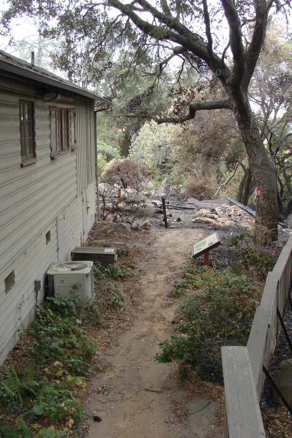 burned area adjacent to Cottage, Santa Barbara Botanic Garden, after the Jesusita Fire