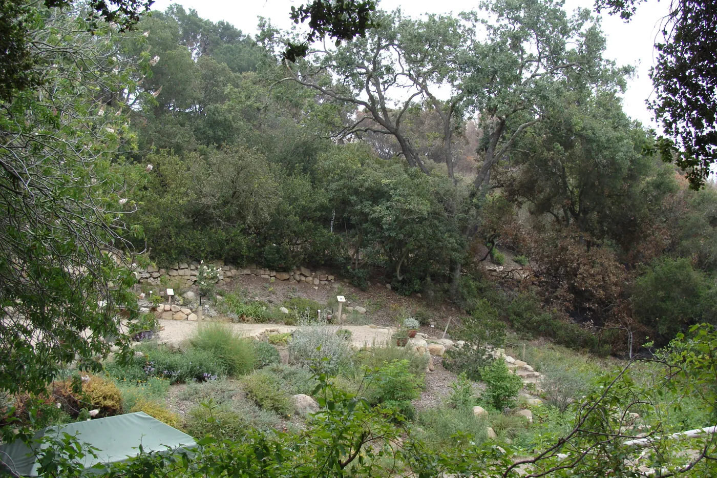 lower Discovery Garden, adjacent to Mission Canyon Road, after the Jesusita Fire