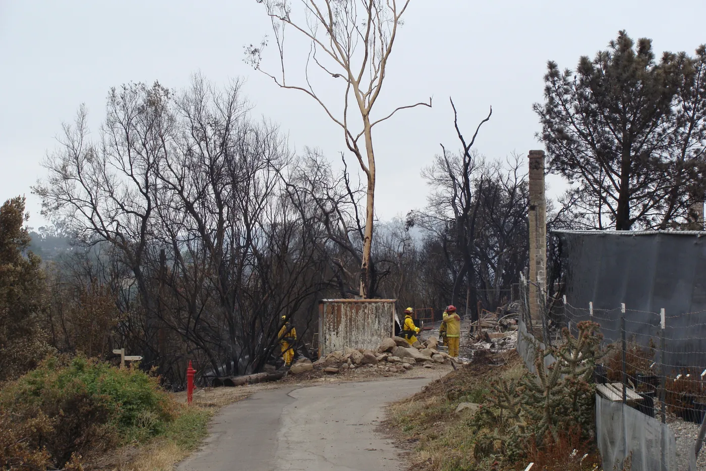 Fire crew putting out hot spots around the Gane House site, after the Jesusita Fire