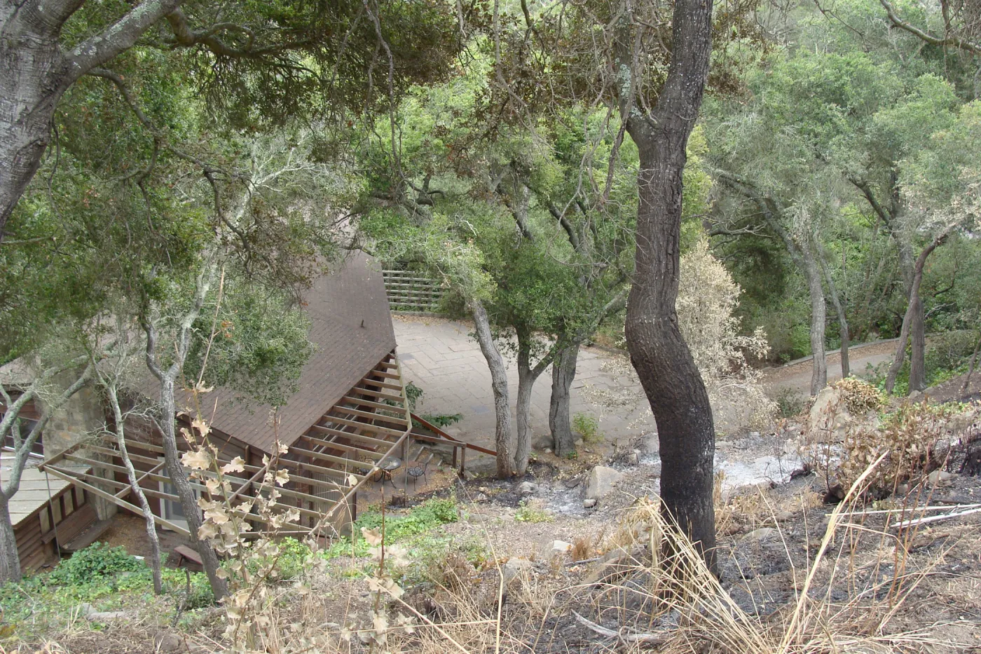 spot fire, burned slope above and behind the Guild House, after the Jesusita Fire