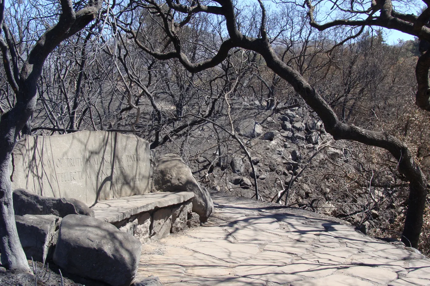 The Pritchett stone bench, Santa Barbara Botanic Garden, after the Jesusita Fire