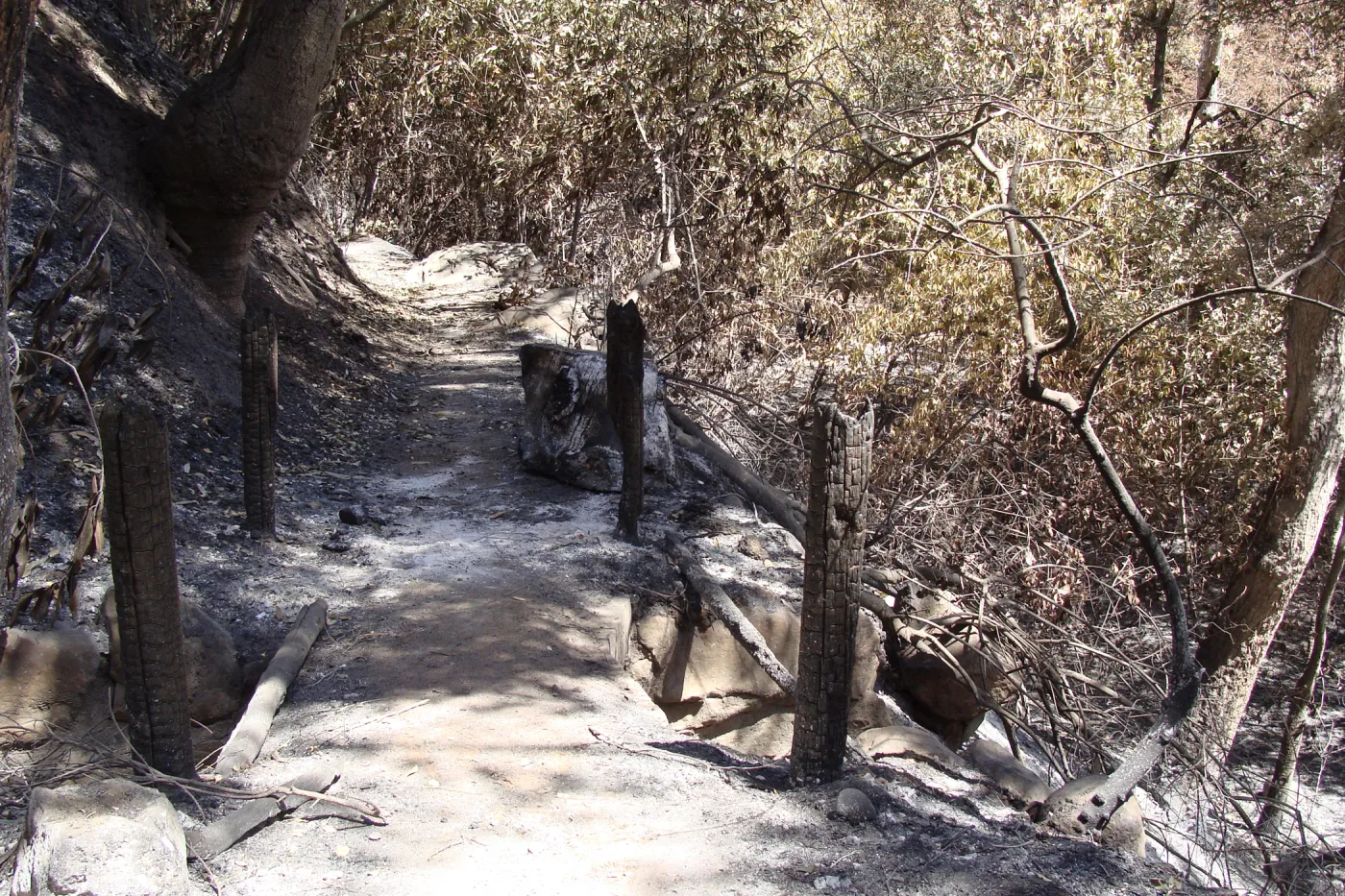 lower Pritchett Trail foot bridge over drainage pipe, burned railings, after the Jesusita Fire