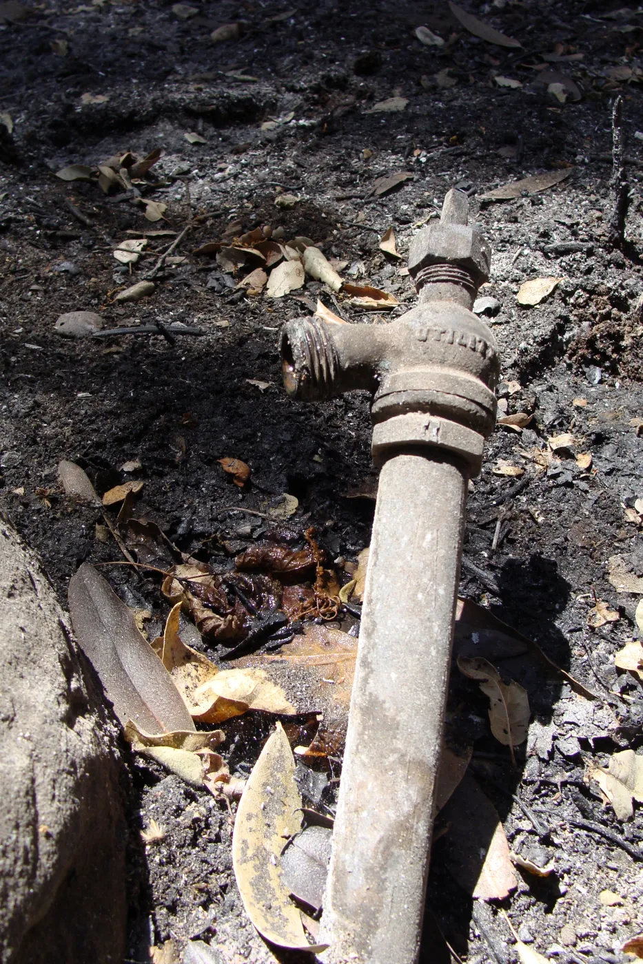 burned irrigation, hose bib, after the Jesusita Fire