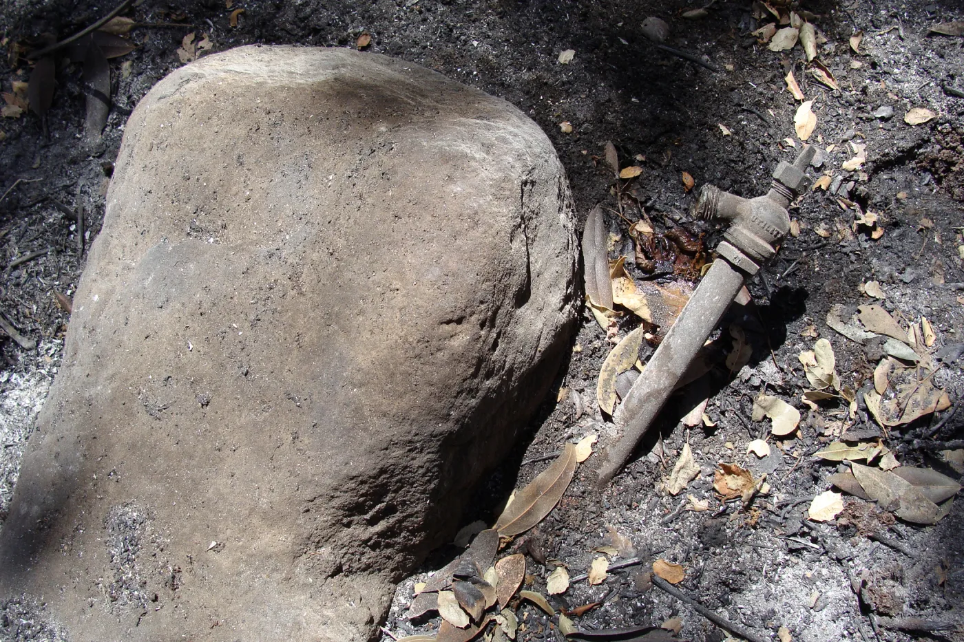 bunred irrigation, hose bib, after the Jesusita Fire