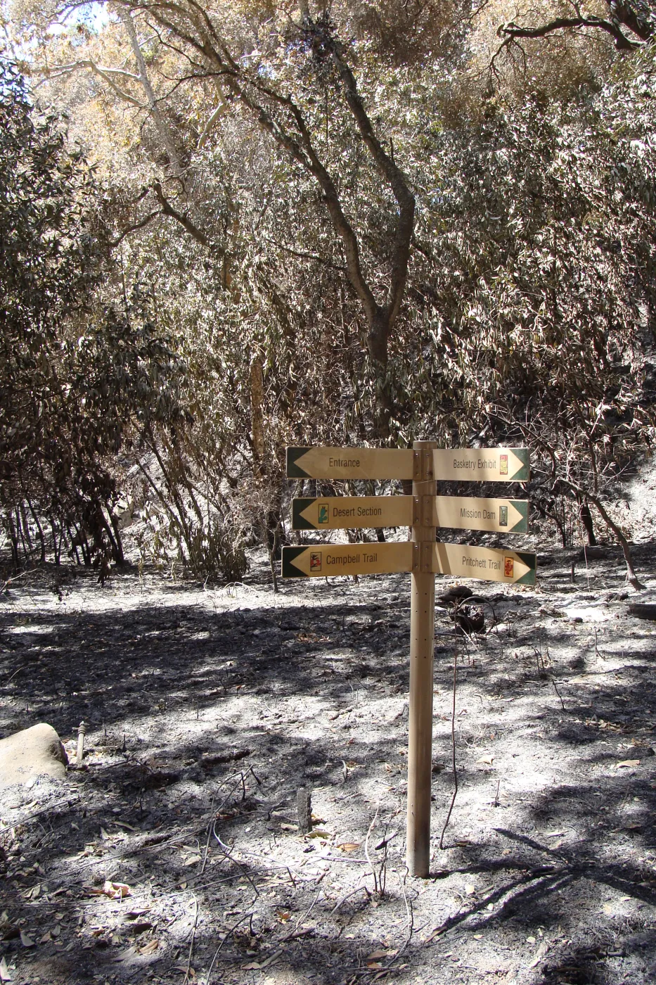 directional signage at the Campbell Bridge and Canyon Trail intersection, after the Jesusita Fire