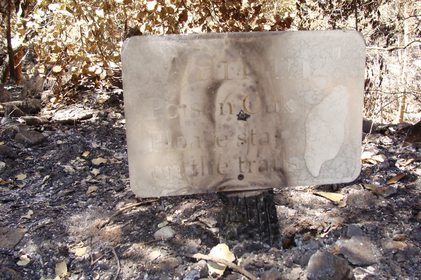burned metal sign, 'Warning Poison Oak', after the Jesusita Fire