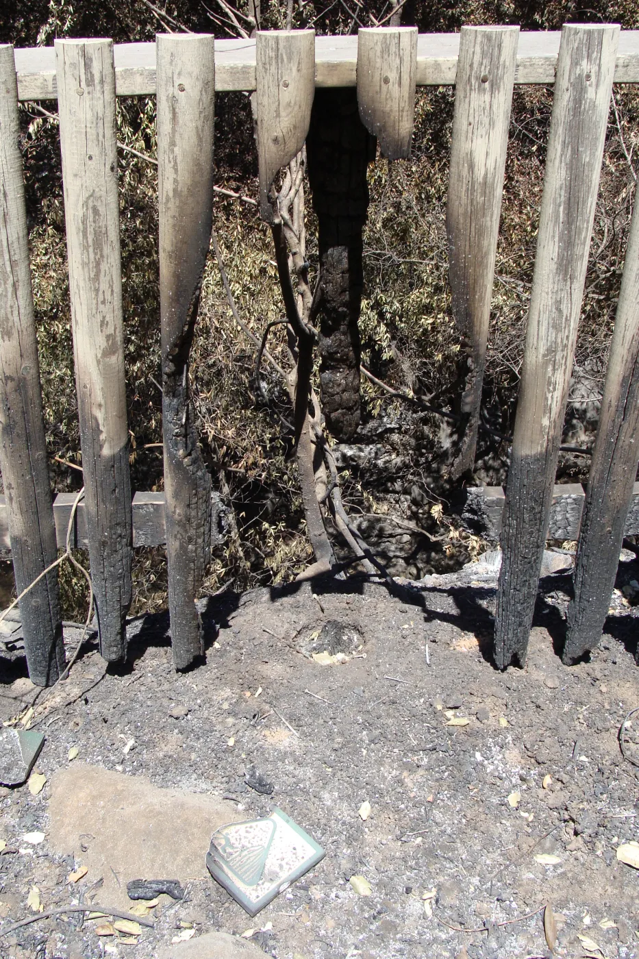 burned railing at the edge of the Picnic Area, after the Jesusita Fire
