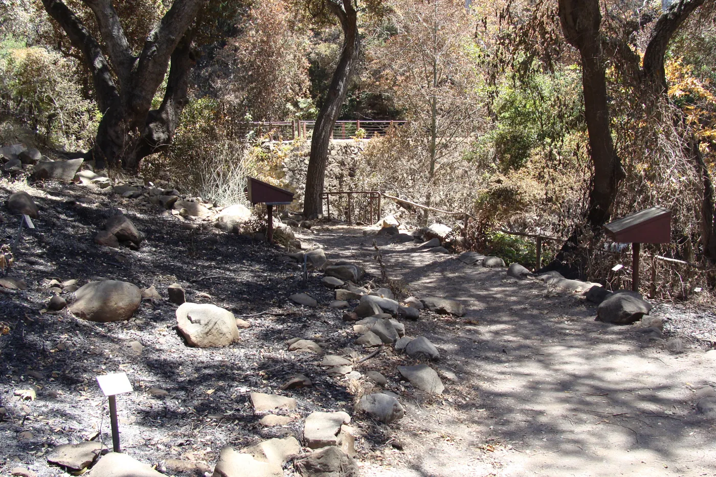 Fiber Arts Display, after the Jesusita Fire