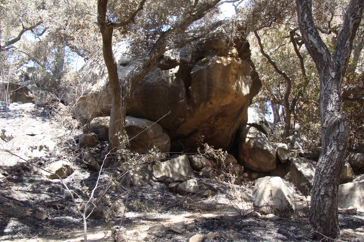 large boulder along the Canyon Trail, after the Jesusita Fire