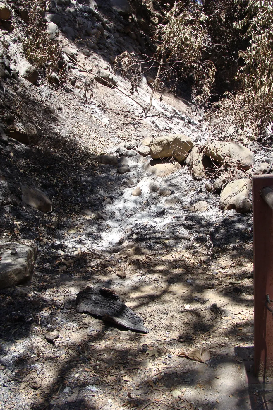 area just to the upper northwest side of the Mission Dam, after the Jesusita Fire