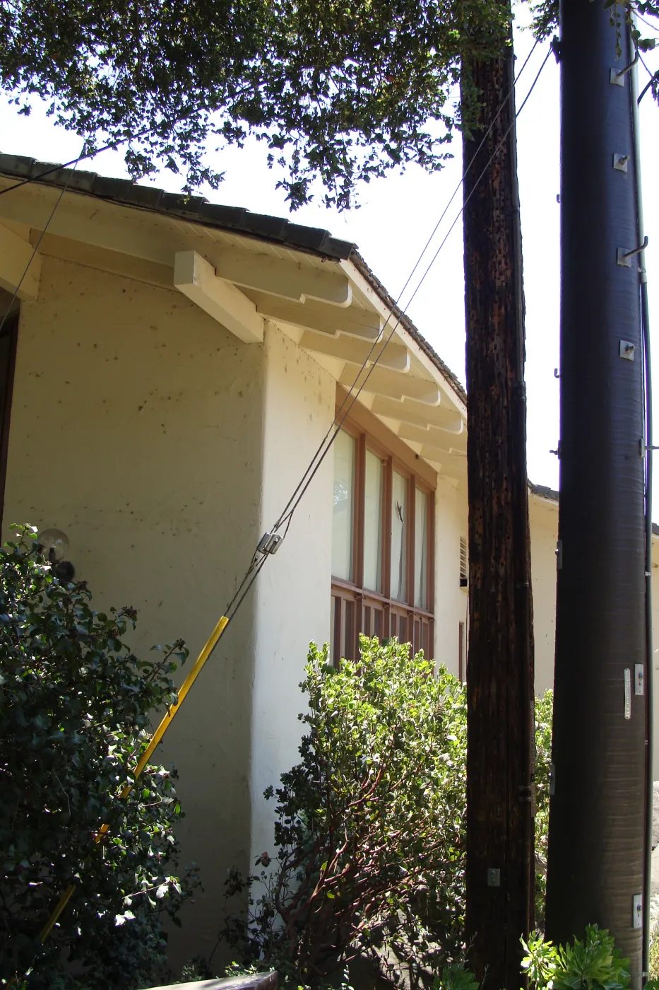 acorn granary, wood power pole at the Herbarium building, was not burned by the Jesusita Fire