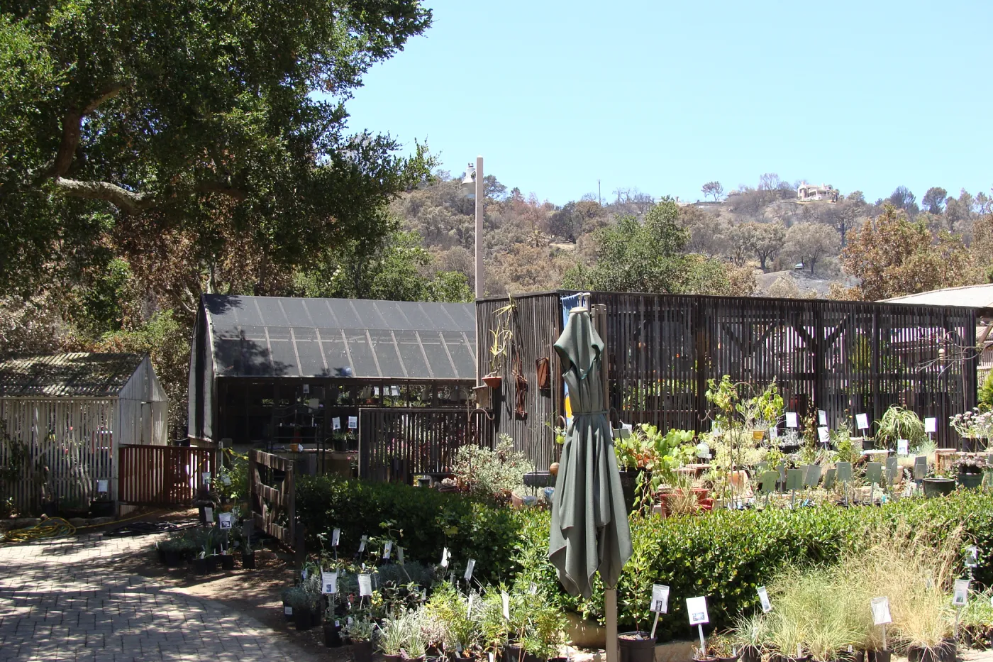 Garden Growers Nursery facility, view from the Courtyard, after the Jesusita Fire