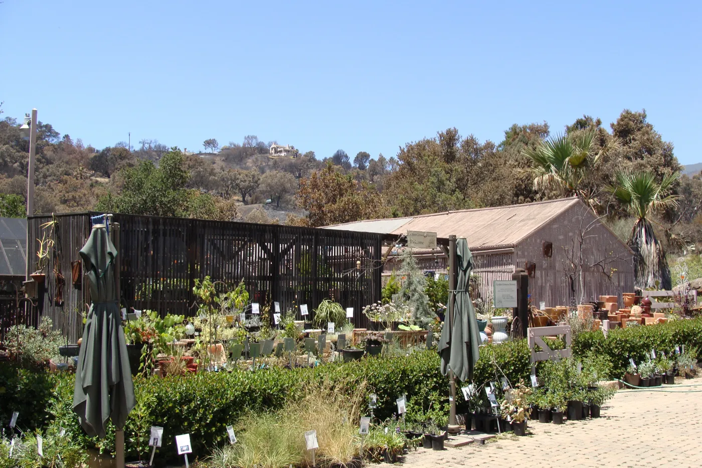 Garden Growers Nursery facility, view from the Courtyard, after the Jesusita Fire