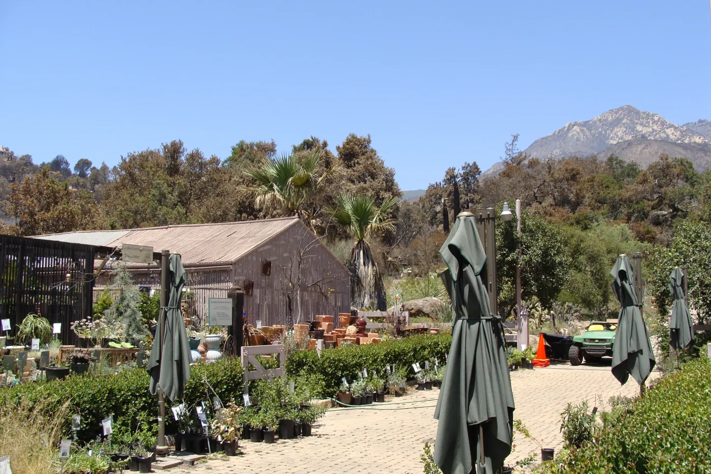 fire-damaged vegetation beyond the Courtyard and Garden Growers Nursery, after the Jesusita Fire