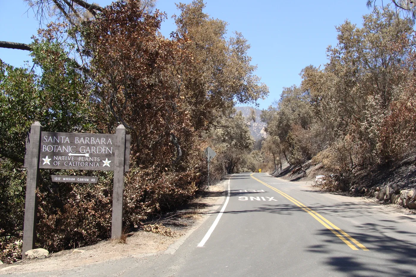 Santa Barbara Botanic Garden entrance sign on Mission Canyon Road, after the Jesusita Fire