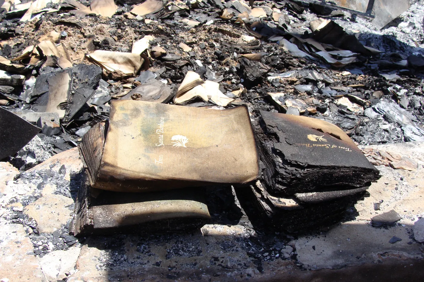 burned copies of 'Trees of Santa Barbara', after the Jesusita Fire