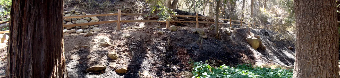 Redwood Section, panorama, one week after the Jesusita Fire