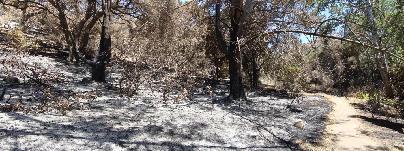 Island Section, panorama, one week after the Jesusita Fire