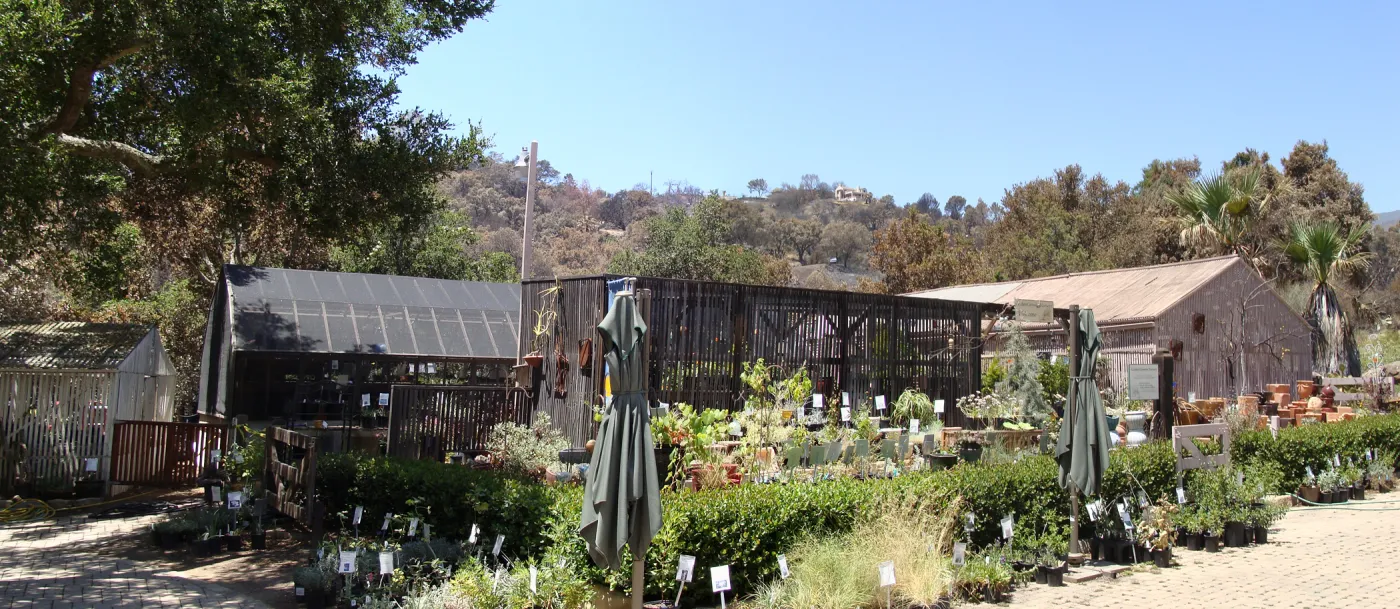 Garden Growers Nursery, panorama, one week after the Jesusita Fire