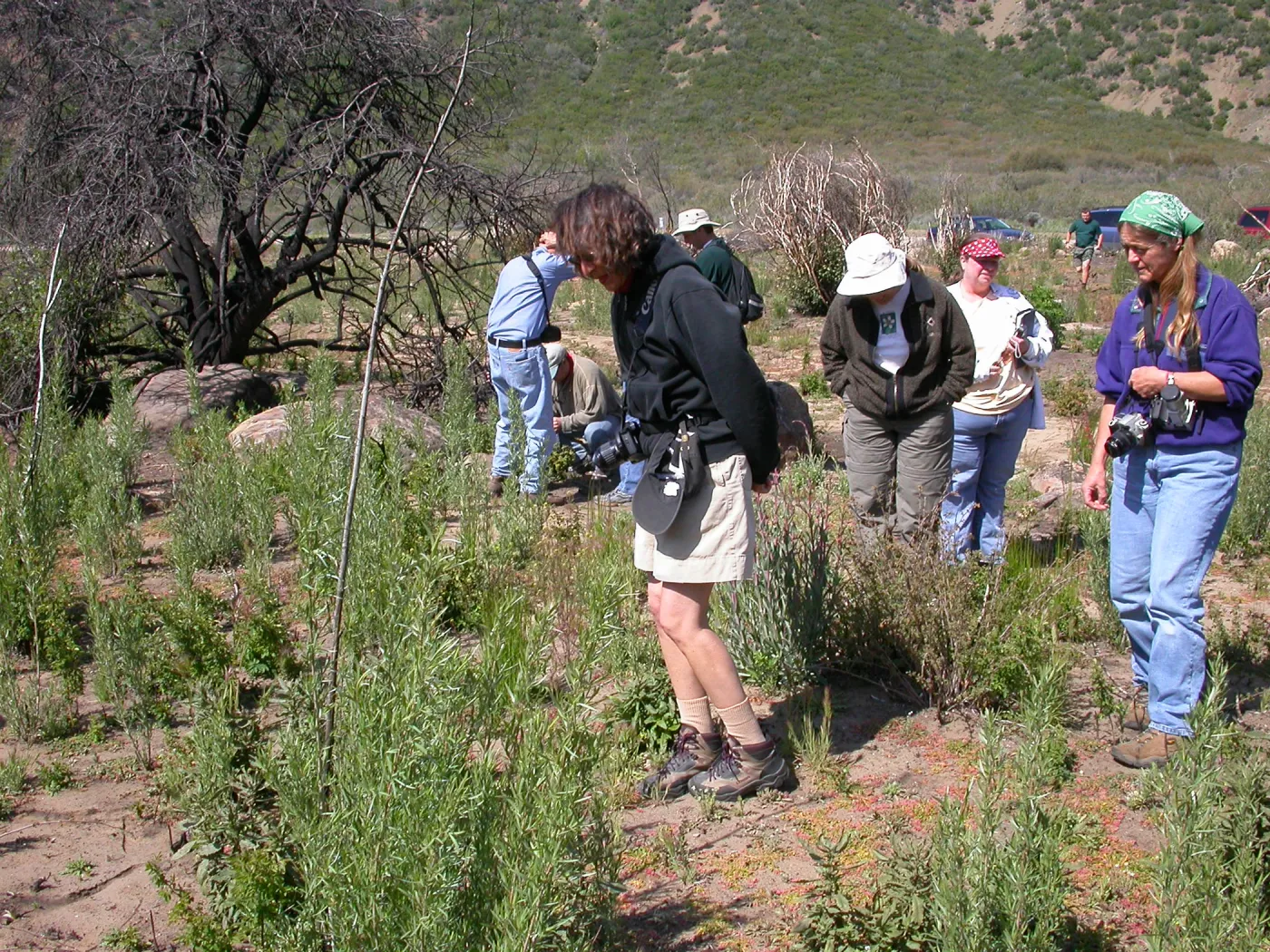 Staff Field Trip, Carol Bornstein