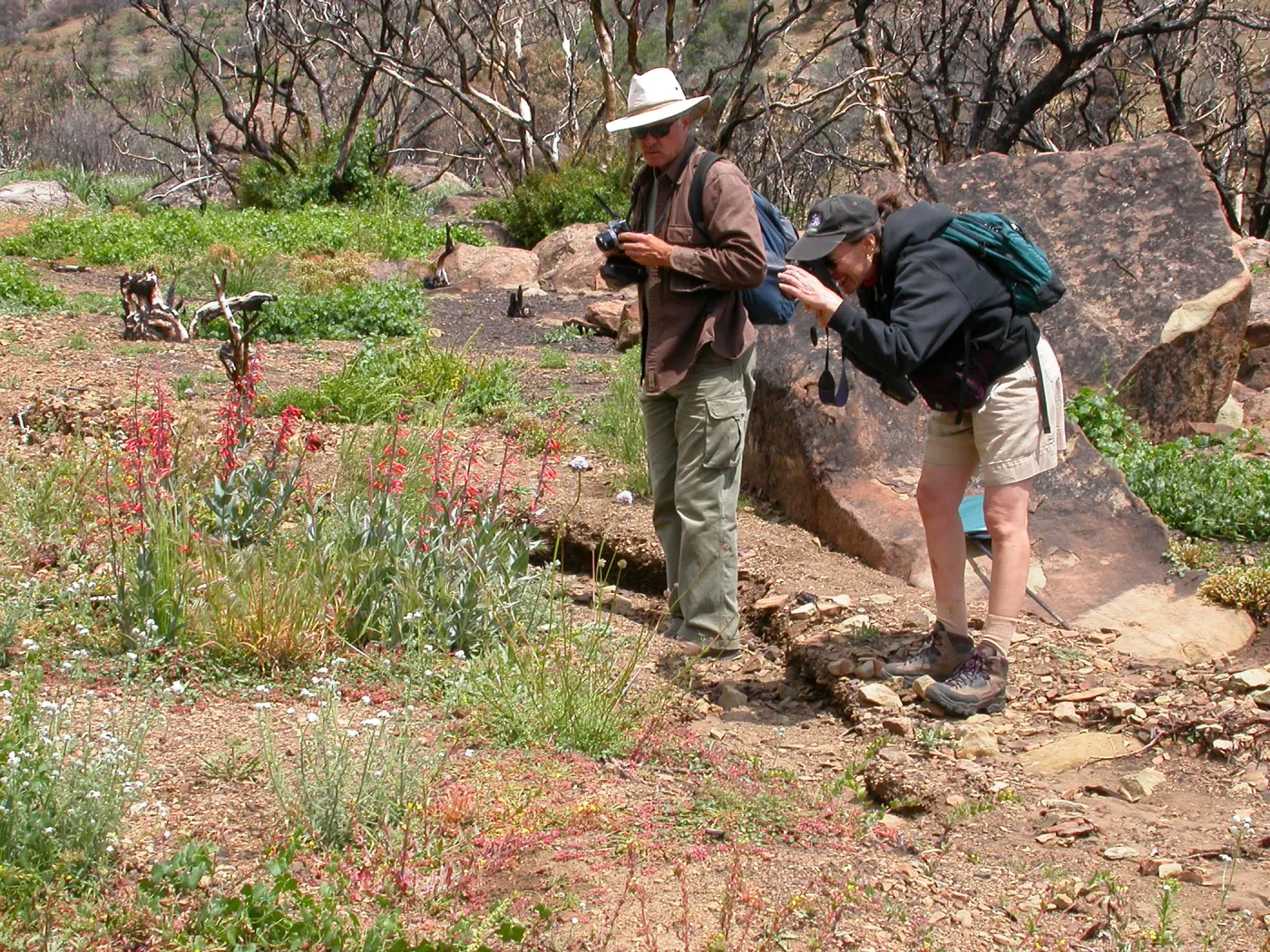 Steve Junak, Carol Bornstein, Hwy 33, Derrydale Creek