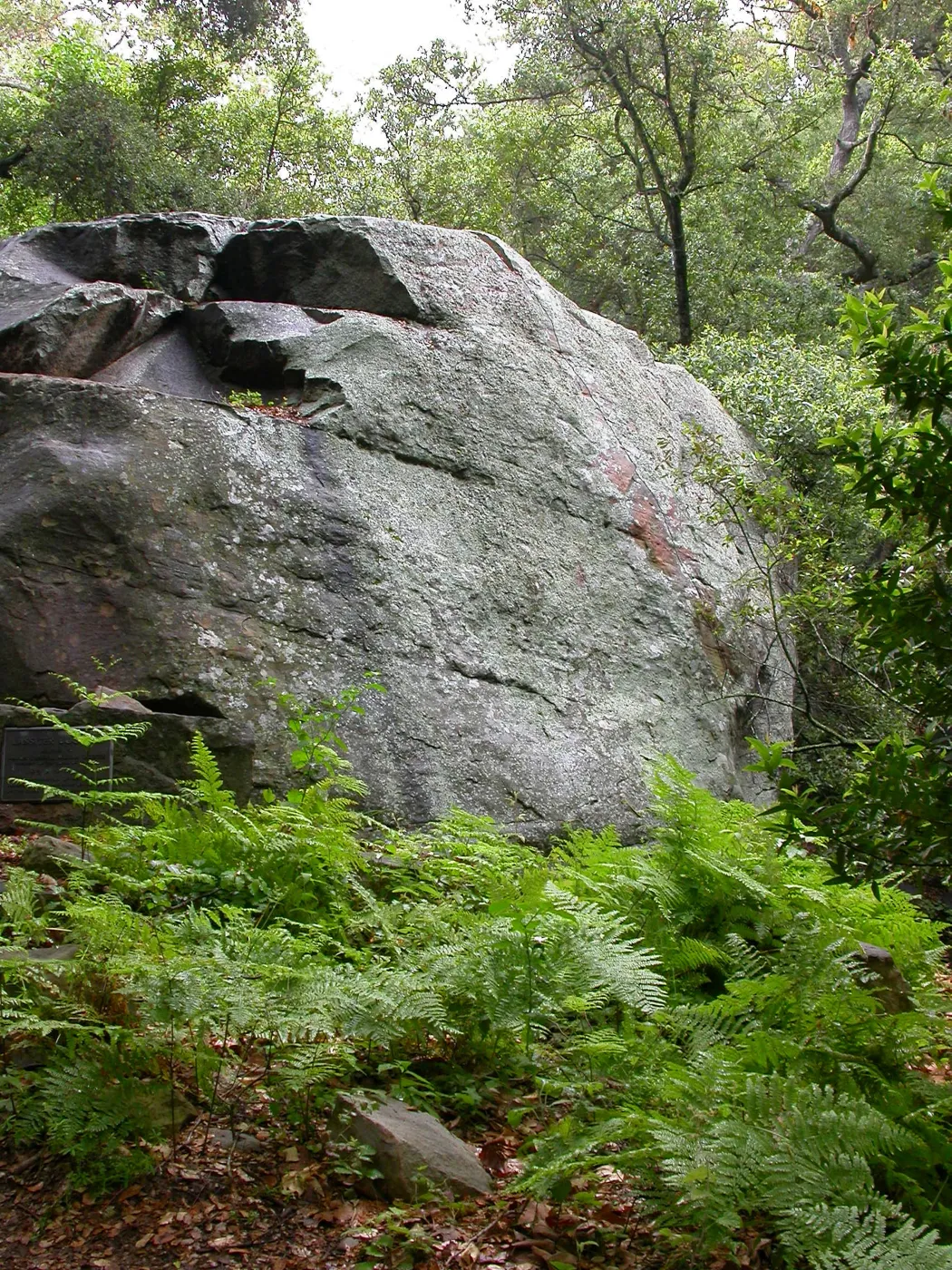Lassiter Boulder