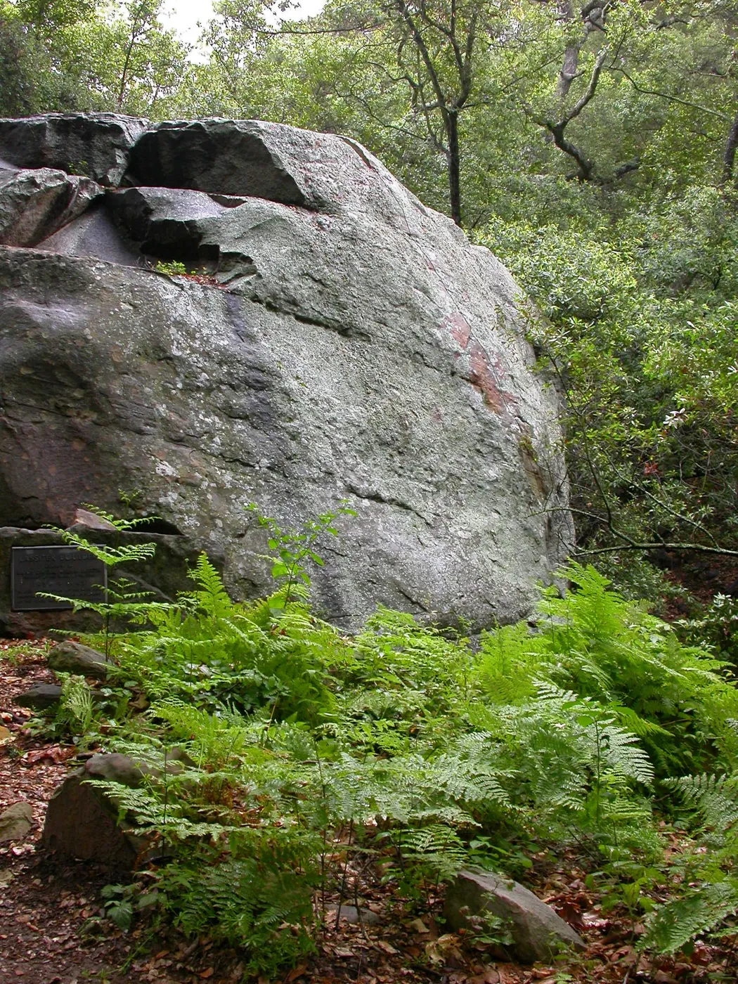 Lassiter Boulder