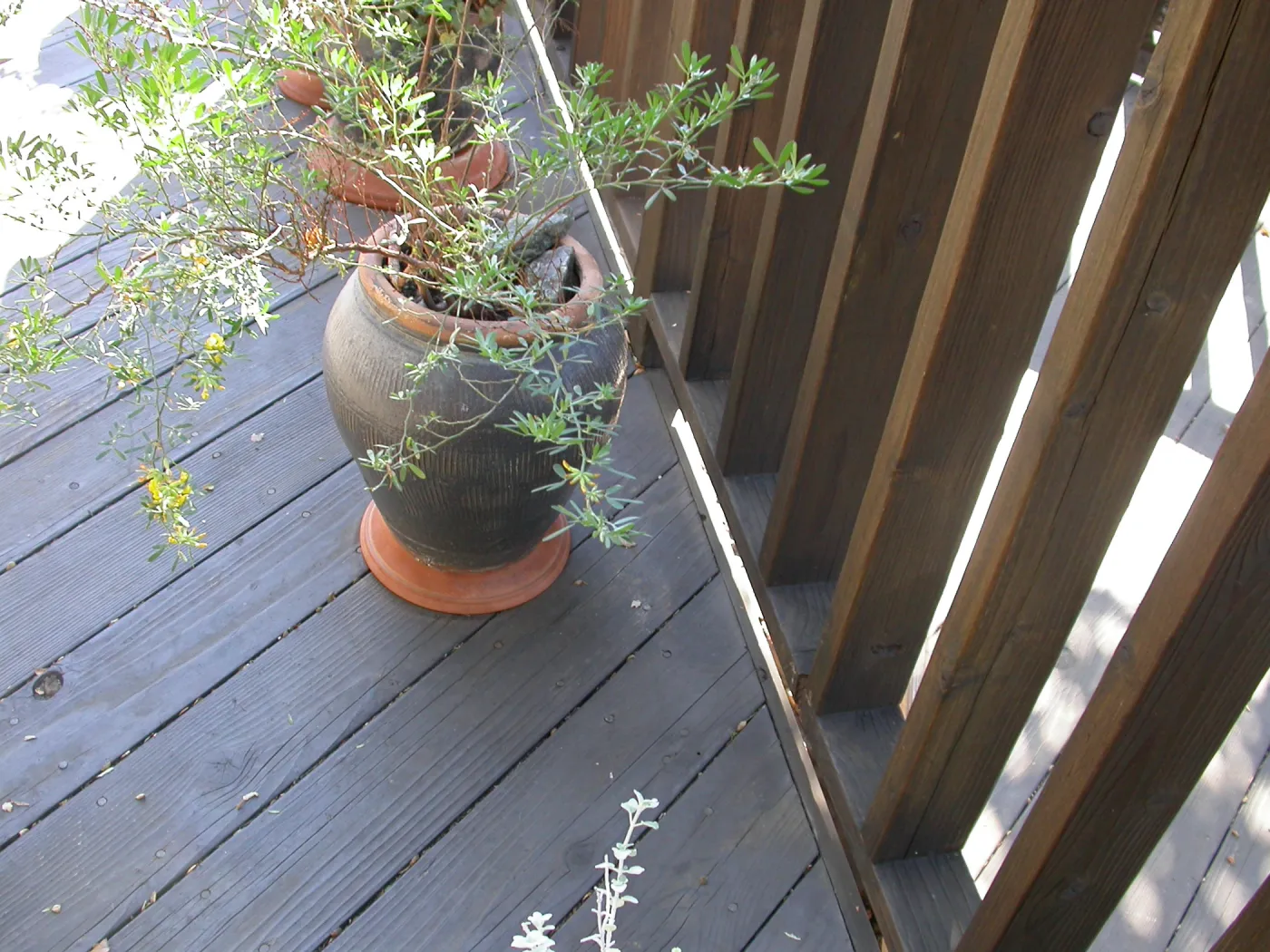 Home Demonstration Deck Pots