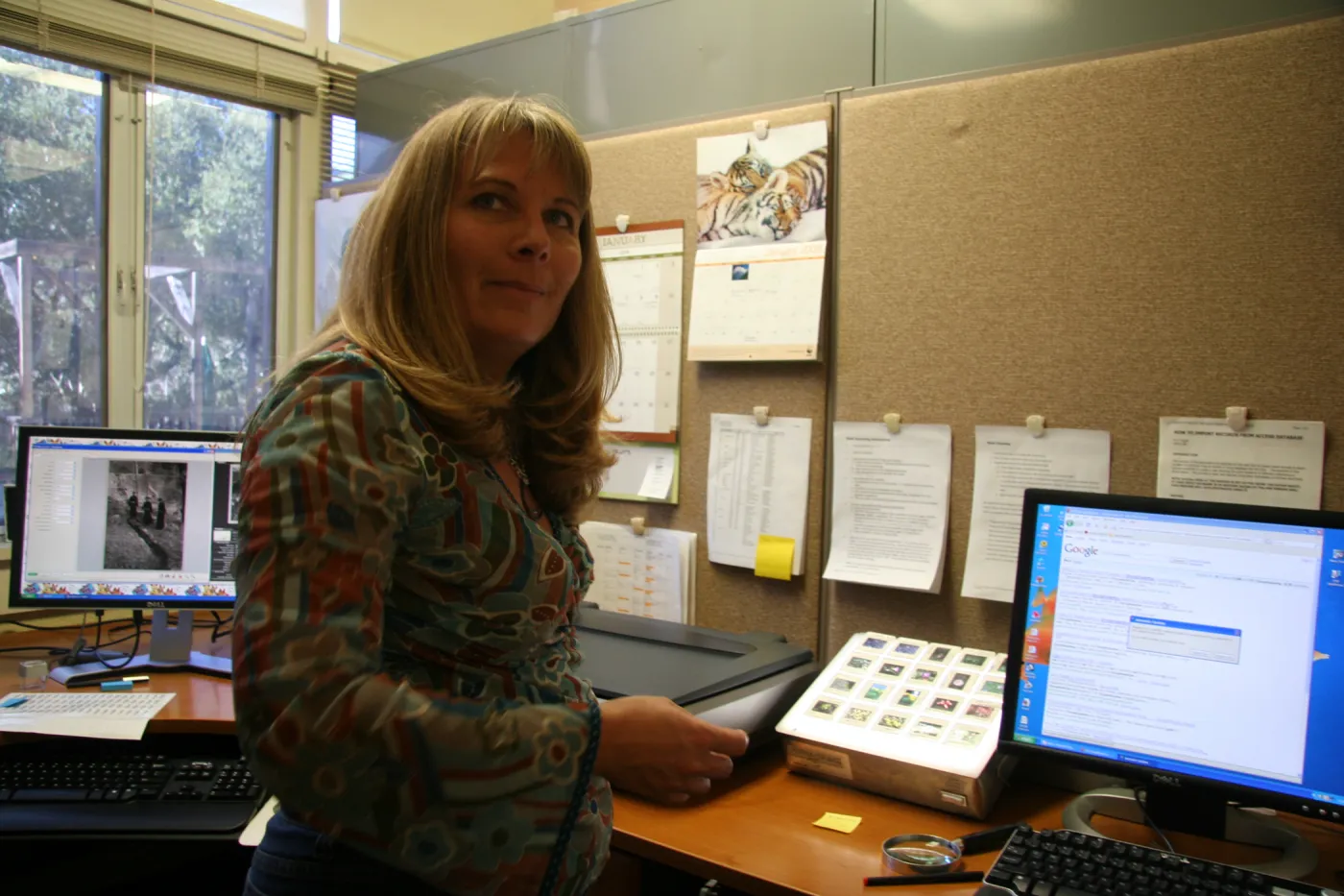 Tricia Wardlaw, IMLS Digital Image Library Project 