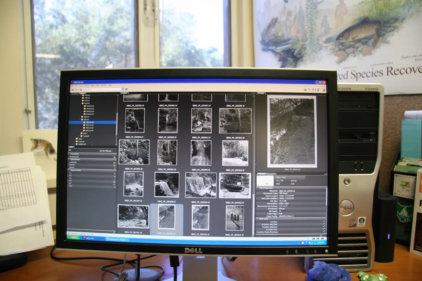 Adobe Bridge view of scanned images, IMLS Digital Image Library Project